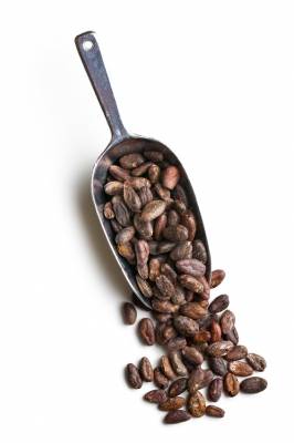 b2ap3_thumbnail_cacao-beans---fotolia-566-x-849-0.5-MP.JPG