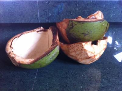 b2ap3_thumbnail_coconuts-empty.JPG