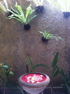 b2ap3_thumbnail_flowers-water-bowl.JPG