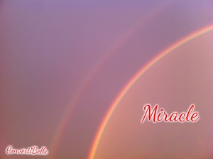 Rainbow miracle