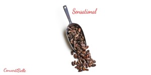 the cocoa beans in scoop