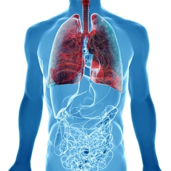 human body under X-rays isolated on white with highlighted lung cancer