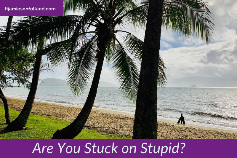 Are You Stuck on Stupid?