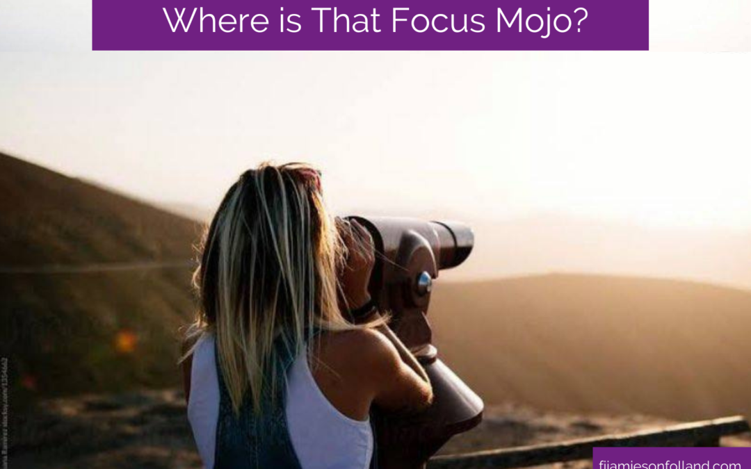 Where is That Focus Mojo?