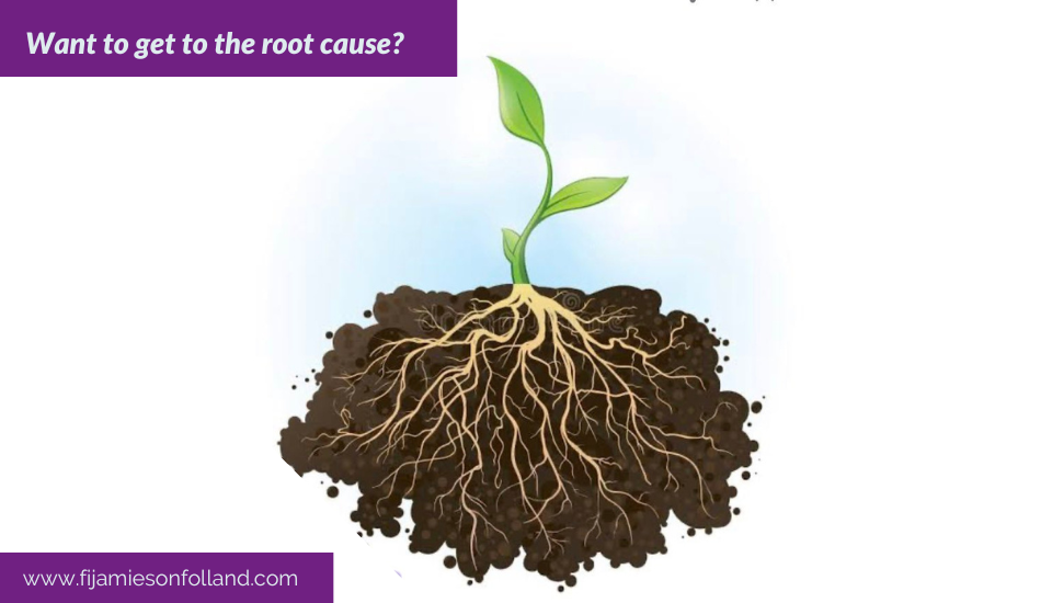Want to get to the root cause?