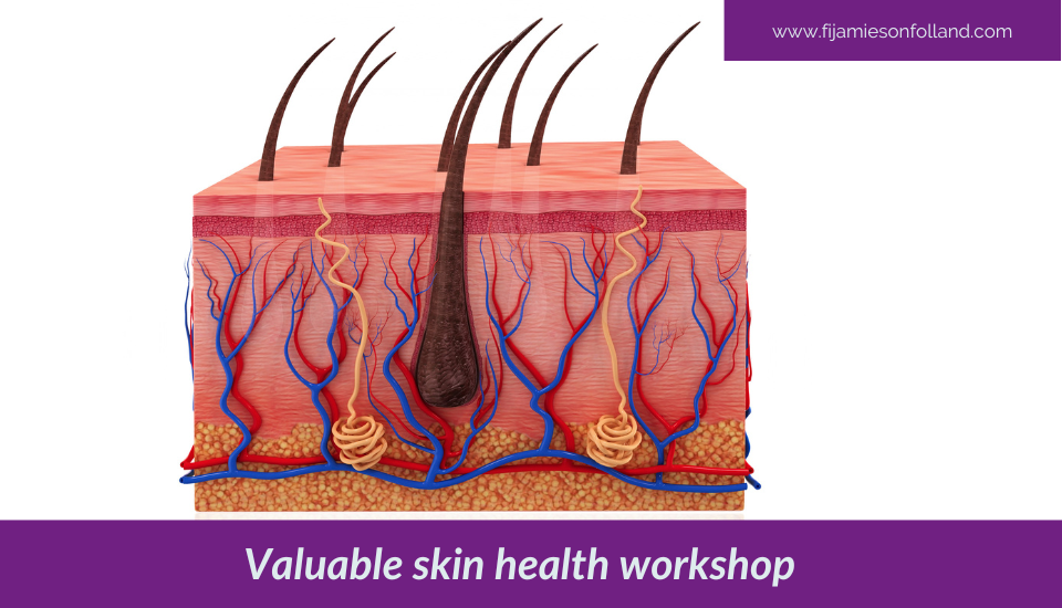 Valuable skin health workshop